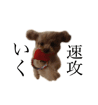 お犬様と飼い主(ネタ編)（個別スタンプ：2）