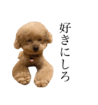 お犬様と飼い主(ネタ編)（個別スタンプ：10）