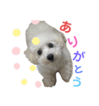 るくさん（個別スタンプ：5）