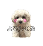 るくさん（個別スタンプ：10）