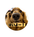 まはろはろ（個別スタンプ：2）