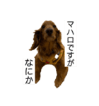 まはろはろ（個別スタンプ：4）
