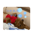 まはろはろ（個別スタンプ：6）