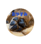 まはろはろ（個別スタンプ：7）