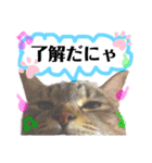 まったり(つ´∀｀)つ（個別スタンプ：4）