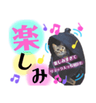 まったり(つ´∀｀)つ（個別スタンプ：8）