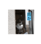 はなスタンプver2（個別スタンプ：4）