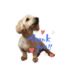 fuu.s（個別スタンプ：3）