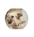 つぶやき犬（個別スタンプ：4）