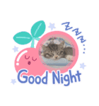 モカちゃん(*ฅ́˘ฅ̀*)（個別スタンプ：1）