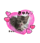 モカちゃん(*ฅ́˘ฅ̀*)（個別スタンプ：3）