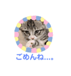 モカちゃん(*ฅ́˘ฅ̀*)（個別スタンプ：8）