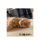濵田家 大集合！（個別スタンプ：8）