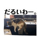 濵田家 大集合！（個別スタンプ：12）