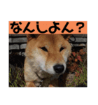 濵田家 大集合！（個別スタンプ：13）
