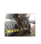 濵田家 大集合！（個別スタンプ：14）