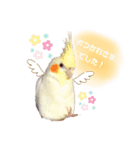 スタンプぴゅーちゃん（個別スタンプ：4）