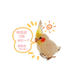 スタンプぴゅーちゃん（個別スタンプ：7）
