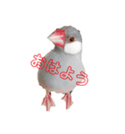 みんなの生き物生活（個別スタンプ：4）