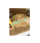 みんなの生き物生活（個別スタンプ：5）