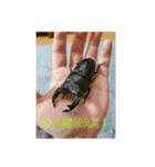 みんなの生き物生活（個別スタンプ：8）