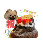 ポメチワふうた 2（個別スタンプ：13）