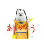 ポメチワふうた 2（個別スタンプ：15）