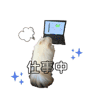 ポメチワふうた 2（個別スタンプ：18）
