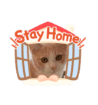ソラマメのまったり生活（個別スタンプ：6）