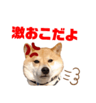 こうたくん3（個別スタンプ：2）