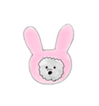 のんびりわんこ1（個別スタンプ：6）