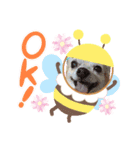 チワワでホンワカ♪cute dogs（個別スタンプ：1）