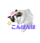 霧島はじめスタンプ2（個別スタンプ：6）