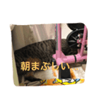 愛猫パラダイス 2（個別スタンプ：7）