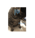 愛猫パラダイス 2（個別スタンプ：10）