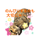 Amaru 日常①（個別スタンプ：4）