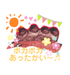 Amaru 日常①（個別スタンプ：7）
