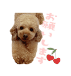もわ日和♡2（個別スタンプ：2）
