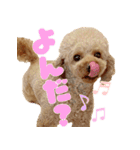 もわ日和♡2（個別スタンプ：3）