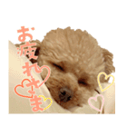 もわ日和♡2（個別スタンプ：4）