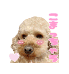 もわ日和♡2（個別スタンプ：7）