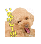 もわ日和♡2（個別スタンプ：8）