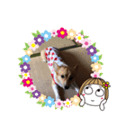毎日自粛ワン（個別スタンプ：6）