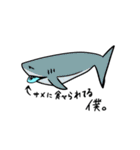 魚しか勝たん（個別スタンプ：4）