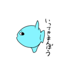 魚しか勝たん（個別スタンプ：15）