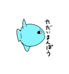 魚しか勝たん（個別スタンプ：16）