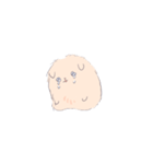 たぶんポメ（個別スタンプ：3）