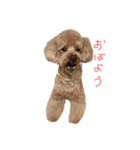 ロペの言葉事情（個別スタンプ：3）