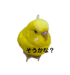 黄色いインコ。日常会話2（個別スタンプ：2）