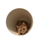 ちびネコのチャム（個別スタンプ：14）